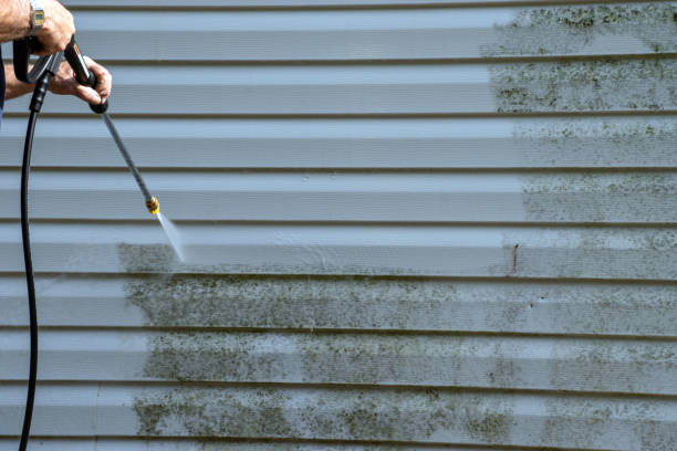 Affordable Siding Repair and Maintenance Services in Bonney Lake, WA